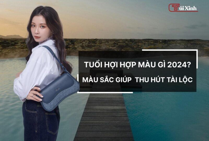 Tìm hiểu tuổi Hợi 1995 hợp màu gì 2024 để thu hút năng lượng tích cực